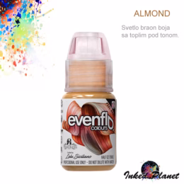 Evenflo Almond